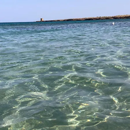 Madre Terra & * Terrasini